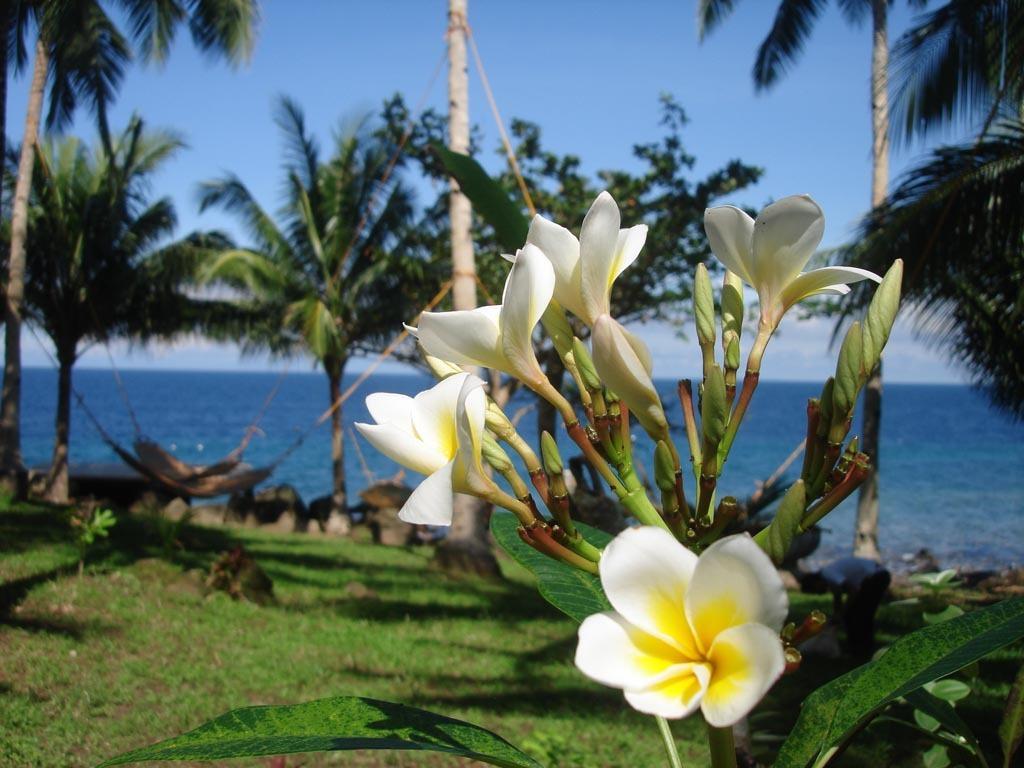 Camiguin Volcan Beach Eco Retreat & Dive Resort Мамбаджао Екстериор снимка
