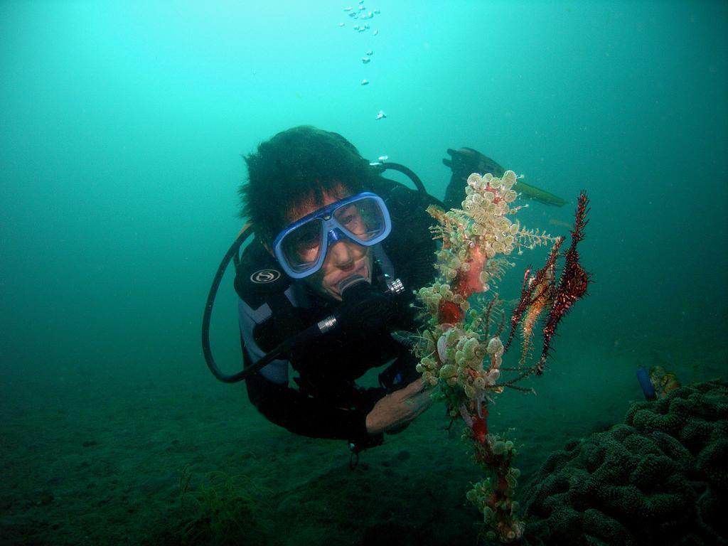 Camiguin Volcan Beach Eco Retreat & Dive Resort Мамбаджао Екстериор снимка