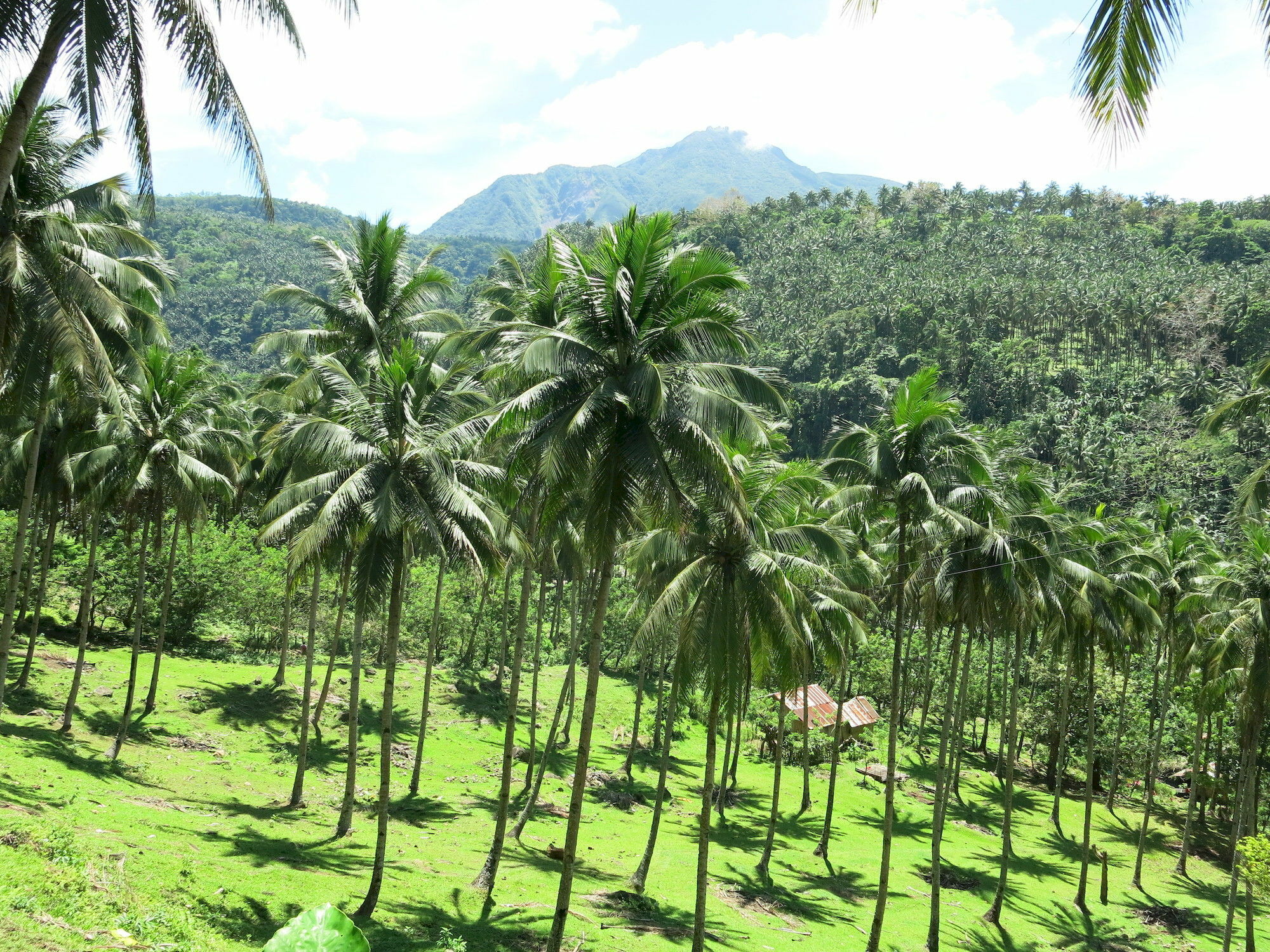 Camiguin Volcan Beach Eco Retreat & Dive Resort Мамбаджао Екстериор снимка